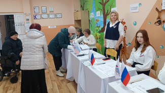 Появились предварительные итоги голосования на выборах президента РФ в Воронежской области