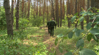 На воронежцев составили уже 25 протоколов о нарушении правил пожарной безопасности