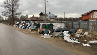 Гору мусора возле оживлённой дороги сняли на камеру в селе под Воронежем