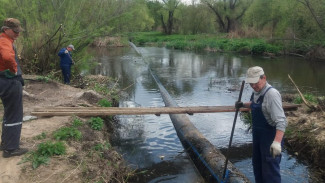 В воронежской реке ликвидировали мусорный остров
