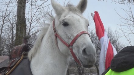 В Воронеж пришел сириец с конём для Путина
