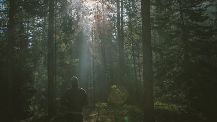 В Воронежской области ввели жёлтый уровень погодной опасности из-за густого тумана