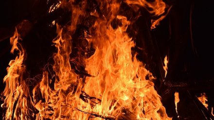 В Воронежской области ребёнок обгорел на глазах у отца из-за взрыва в костре