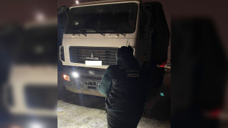 Водитель фуры ответит в суде за раздавленного рабочего на мусорном полигоне под Воронежем