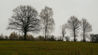 Двоих пропавших без вести воронежцев нашли погибшими