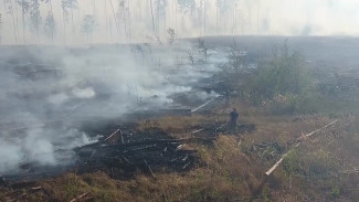 В Воронежской области из-за пожаров на 3 недели ввели новые ограничения 