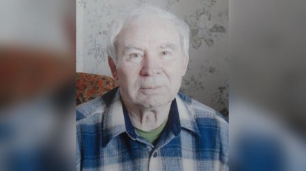 Воронежцев попросили помочь в поисках пропавшего пенсионера