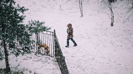 МЧС предупредило воронежцев о снежной буре с дождём
