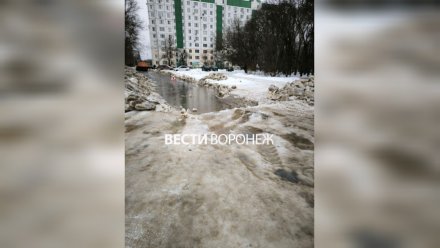 Воронежцам пообещали устранить разлившееся 5 февраля фекальное «озеро»