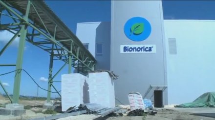 Фармзавод «Бионорика» под Воронежем планируют открыть через полгода