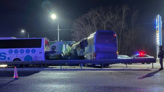 Число раненных в массовом ДТП с рейсовыми автобусами на воронежской трассе выросло до 6