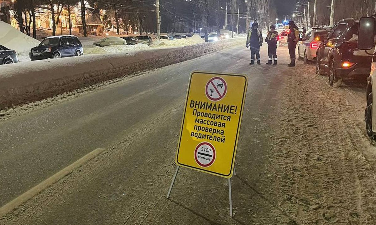 В Воронежской области начались массовые проверки водителей – Новости  Воронежа и Воронежской области – Вести Воронеж