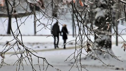 Новая рабочая неделя встретит воронежцев температурными качелями