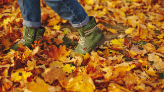 Последний понедельник сентября в Воронеже будет холодным
