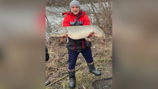 «Боролся с ней полчаса». Воронежец поймал 10-килограммовую щуку