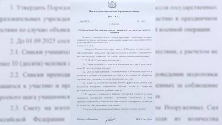 В Воронеже распространили фейк о праздничном шествии школьников в честь окончания СВО