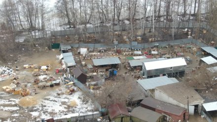 В Воронеже приступили к сносу приюта «Дора» на Левом берегу