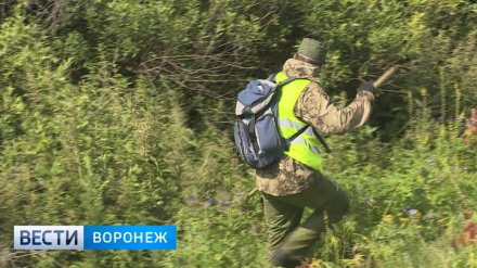 Отец погибшего под Воронежем 3-летнего мальчика попал под следствие