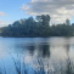 Двое мужчин утонули в реке Усманка в Воронежской области