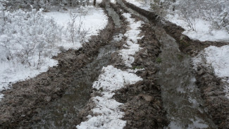 Глава СК поручил проверить состояние дороги в воронежском селе