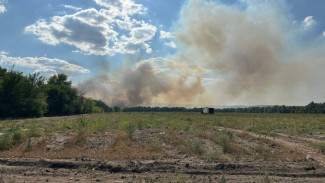 Чрезвычайный уровень пожарной опасности ввели в 24 районах Воронежской области