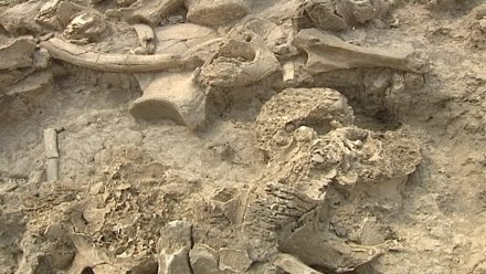 В воронежских Костёнках не нашли памятников археологии