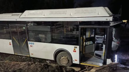 Автобус съехал в кювет у железнодорожного переезда в Воронеже