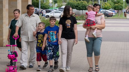 Владимир Нетёсов рассказал о продлении меры поддержки для воронежских многодетных семей