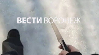 В Воронеже ученица пришла в школу с ножом