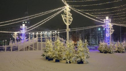 Площадь Ленина в Воронеже останется украшенной до 19 января