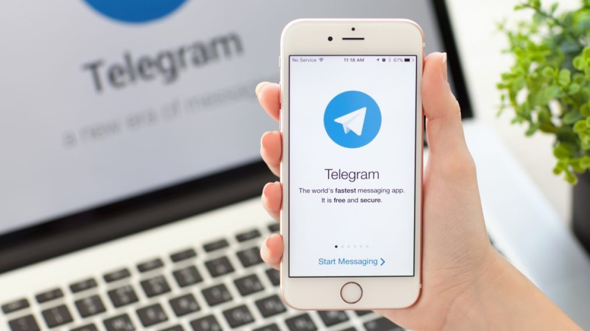 Воронежские провайдеры начали блокировать Telegram – Новости Воронежа и Воронежской области – Вести Воронеж