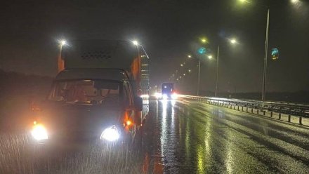 На воронежской трассе грузовик насмерть сбил пешехода 