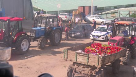 Силовики продолжают разбираться в истории о «рабстве» под Богучаром