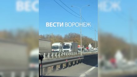 Водители вновь застряли в огромной пробке на трассе М-4 «Дон» в сторону Воронежа