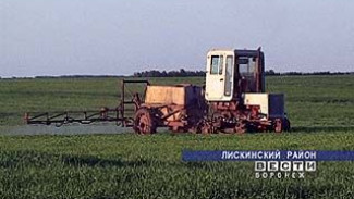 В колхозах стали проводить химзащиту растений с использованием гербицидов