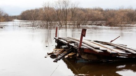 Ещё один мост в Воронежской области затопило из-за паводка