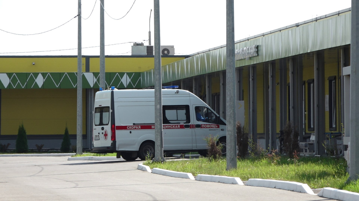 Десять больных сибирской язвой в Воронежской области пошли на поправку –  Новости Воронежа и Воронежской области – Вести Воронеж