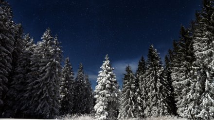 Первый снег ожидается в Воронежской области в середине октября