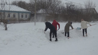 Школьники начали помогать пожилым воронежцам бороться со снегом
