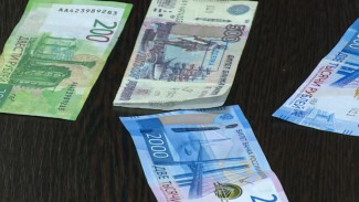 В Воронеже женщина попалась на махинациях с соцвыплатами на 350 тыс. рублей