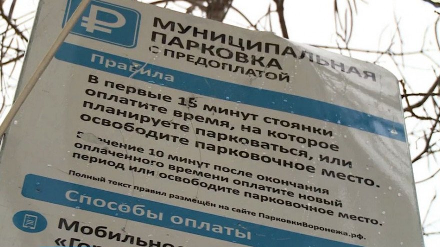 Концессионер платных парковок уступил воронежскому УФАС в споре о названии стоянок