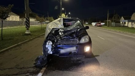 20-летний парень насмерть сбил велосипедистку на воронежской трассе