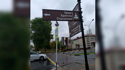 Указатели с ошибками нашли в Нововоронеже