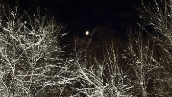 Свет пропал в 19 районах Воронежской области после ночного снегопада