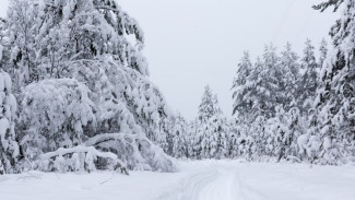 Прогноз погоды в Воронежской области на 15.02.2023