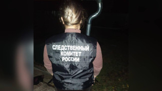 Появились подробности об убийстве и изнасиловании помощницы воронежского депутата