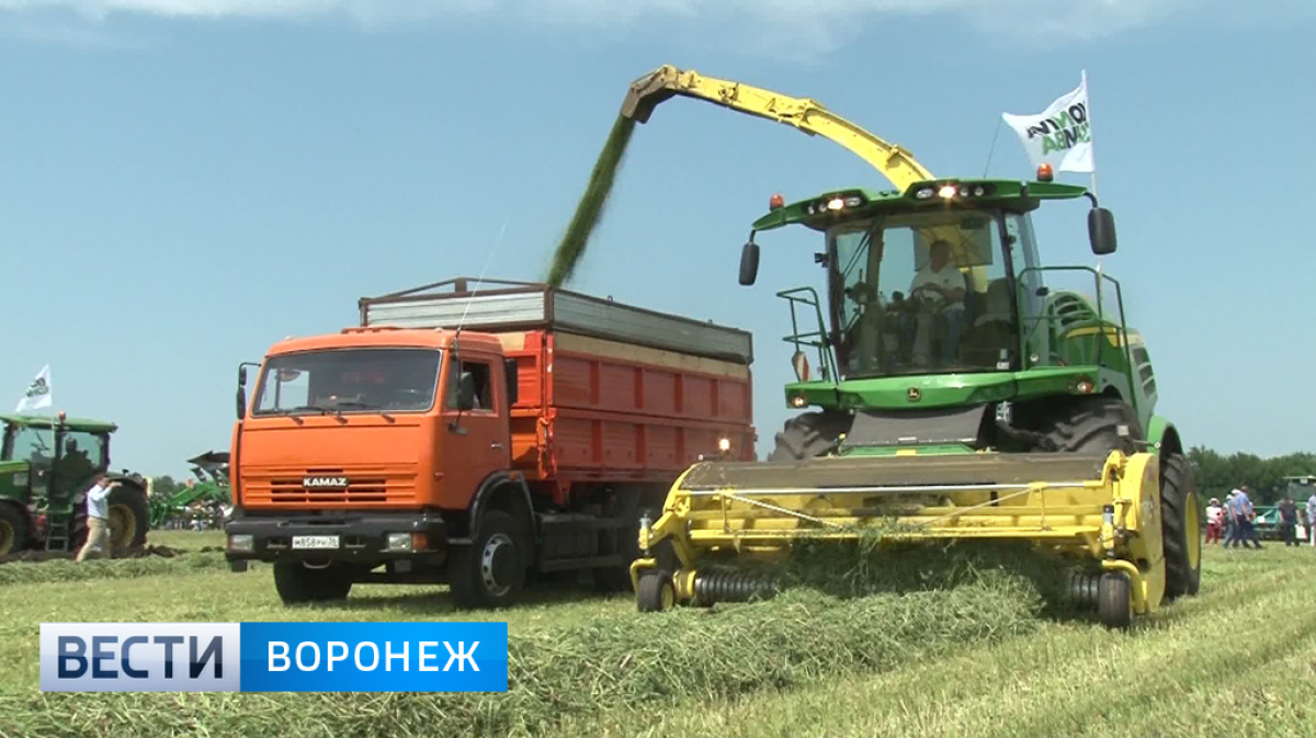 Погода в воронежском совхозе