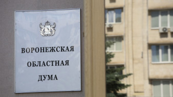 От 0,3 рублей до 3 млрд. Сколько заработали кандидаты в депутаты воронежской облдумы в 2024-м
