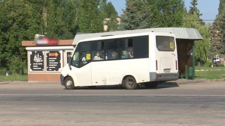 В Воронеже изменят три маршрута и добавят автобусов ещё трём