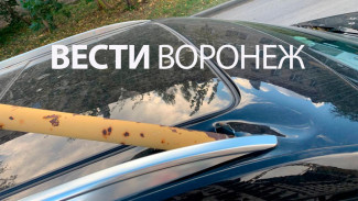 В Воронеже часть строительного крана рухнула на припаркованный Cadillac 